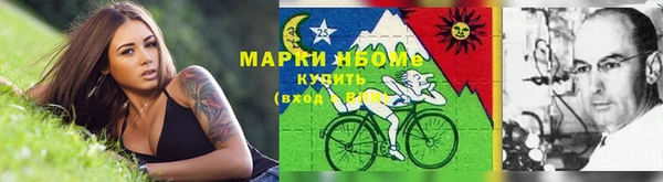 шишки Костерёво