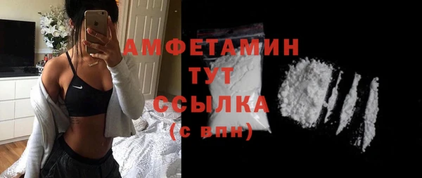 шишки Костерёво