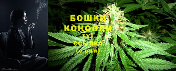 шишки Костерёво