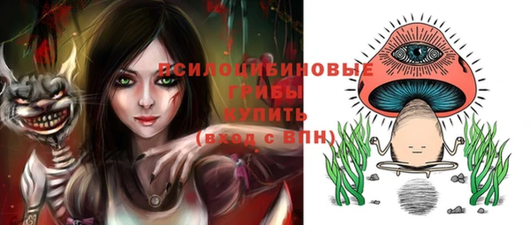 шишки Костерёво