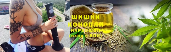 шишки Костерёво