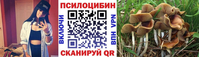 Галлюциногенные грибы Cubensis  Ногинск 
